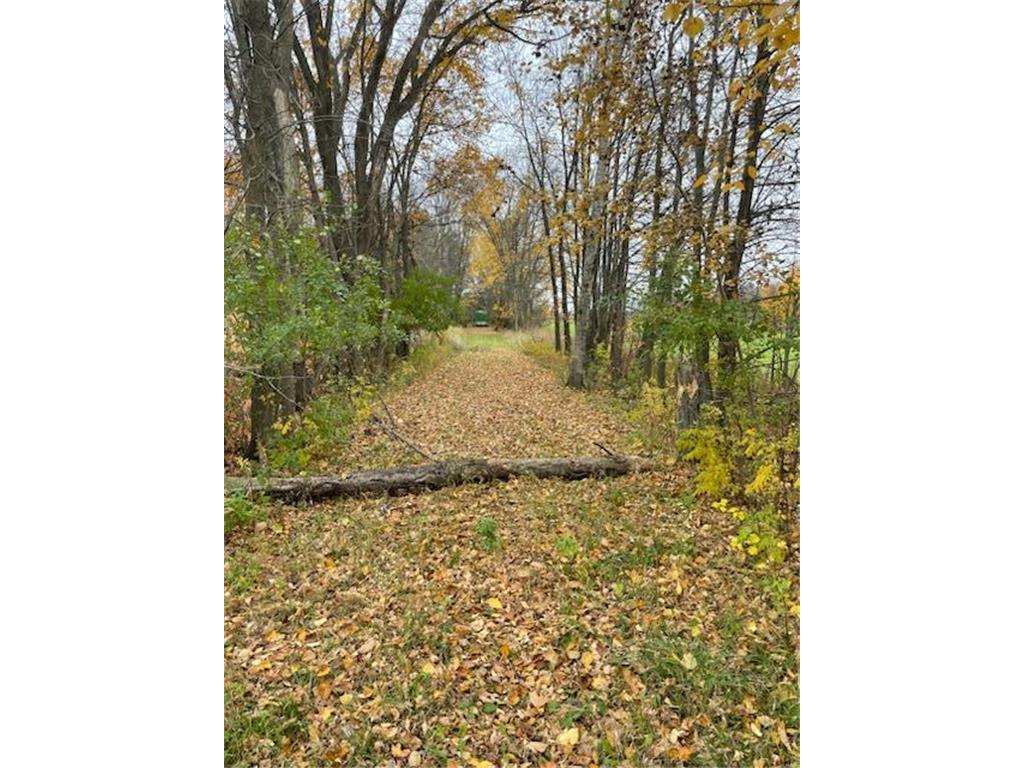 xxx 65th Avenue Bogus Brook Twp MN 55371 6451758 image1