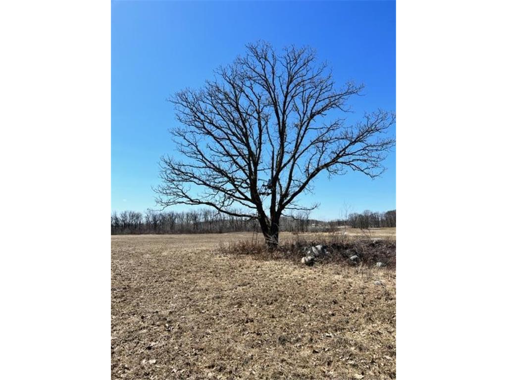 xxx 72nd SW Maple Twp MN 56472 6356668 image1