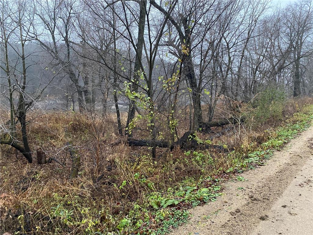 xxx 735th Ave Renville MN 56284 - Minnesota River 6631276 image1