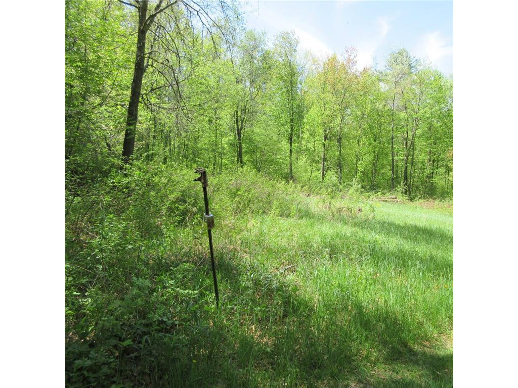 xxx 810th Avenue Sherman Twp WI 54751 7076176 image1