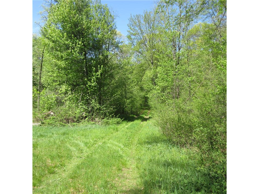xxx 810th Avenue Sherman Twp WI 54751 7076176 image4