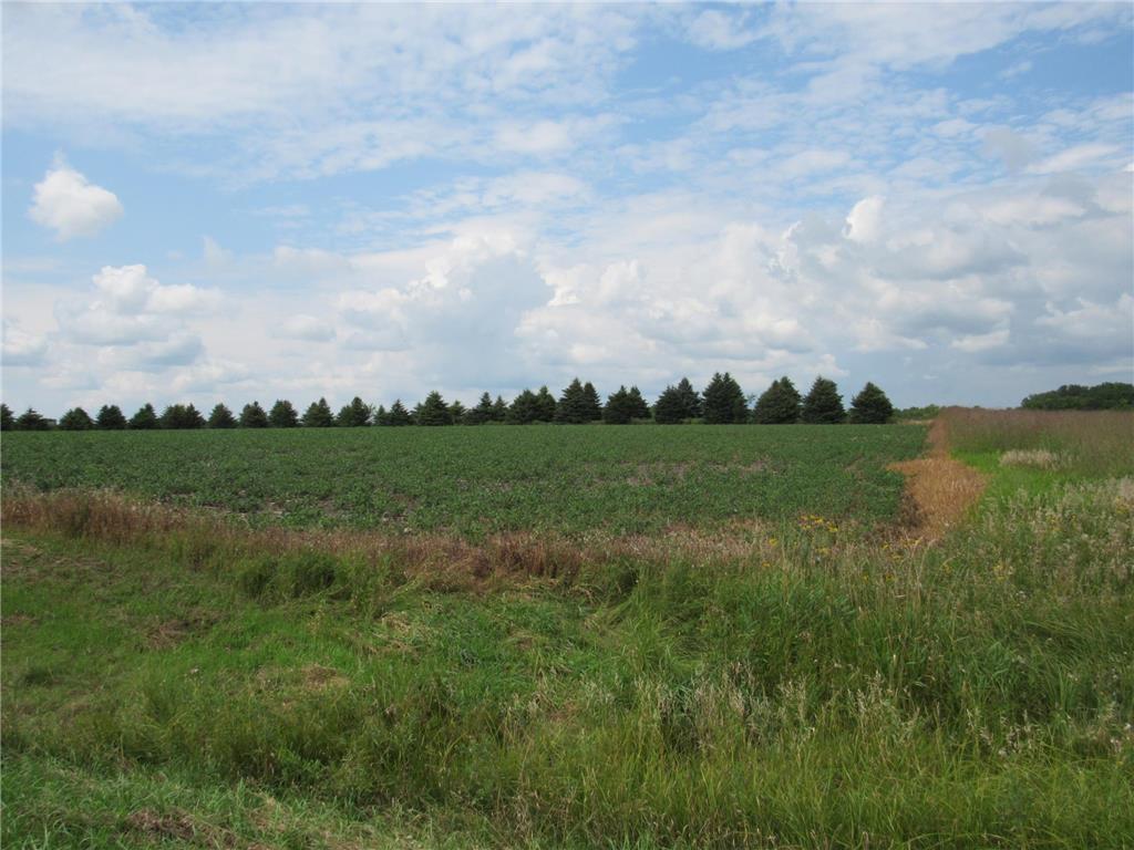 xxx 95th Street Street Blue Earth MN 56013 6584763 image1