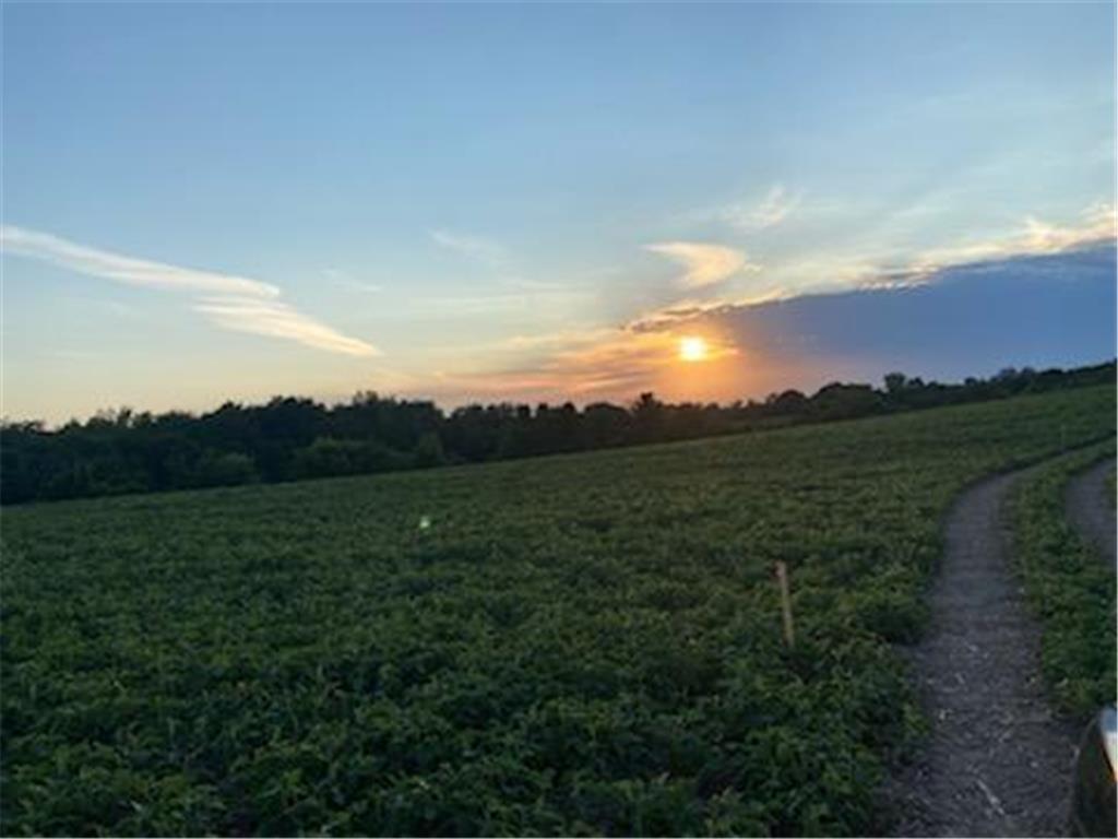 xxx Afton Avenue NE Monticello MN 55362 6448819 image1