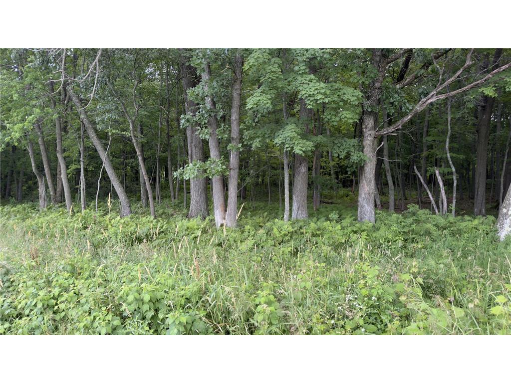 xxx Athens Stacy MN 55079 6740542 image2