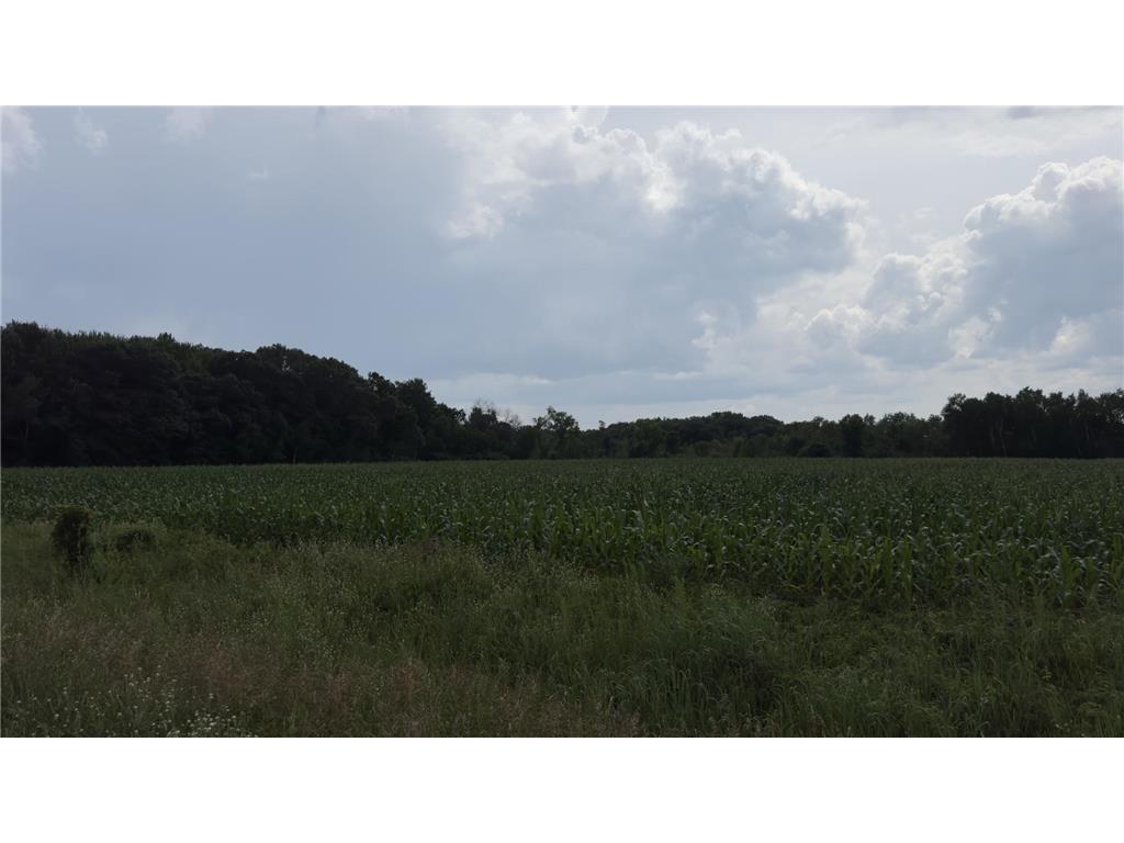 xxx Athens Stacy MN 55079 6740542 image4