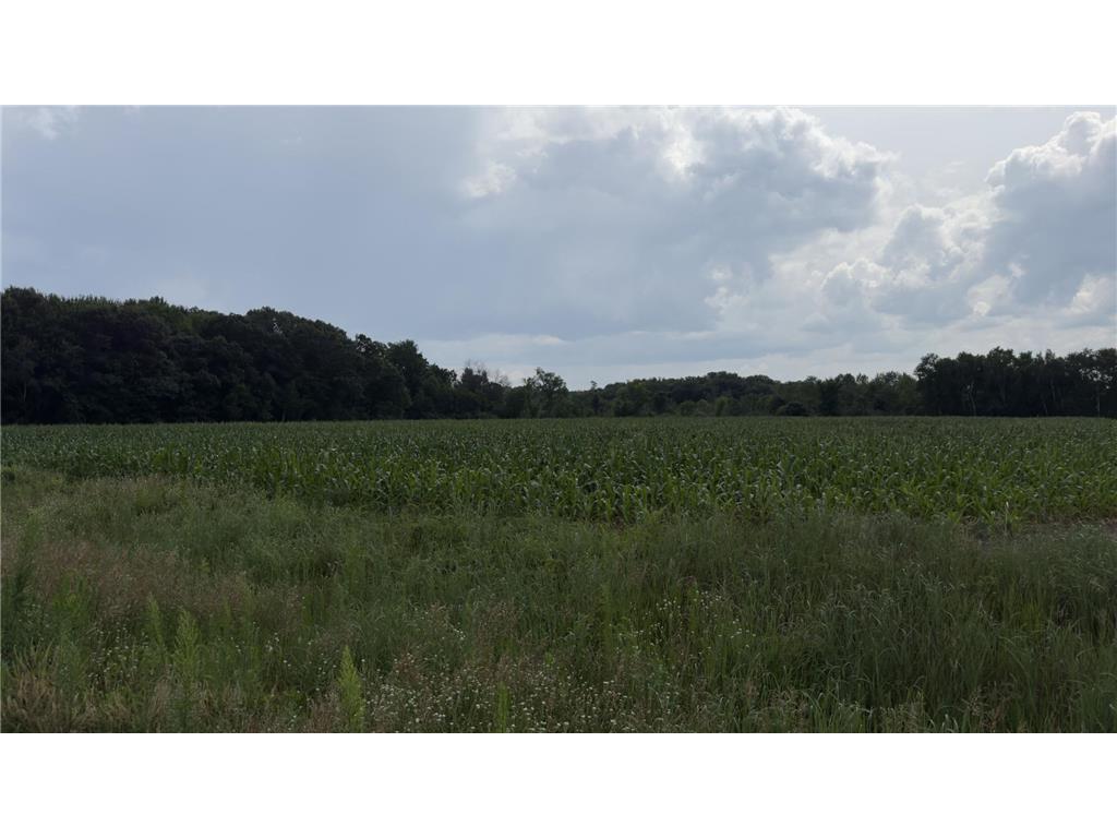 xxx Athens Stacy MN 55079 6740542 image6