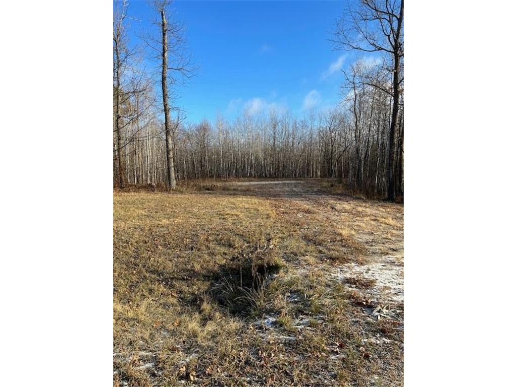 xxx Bear Tracks Lane NE, Wabedo Twp, MN 56655 | MLS: 6464643 | Edina Realty
