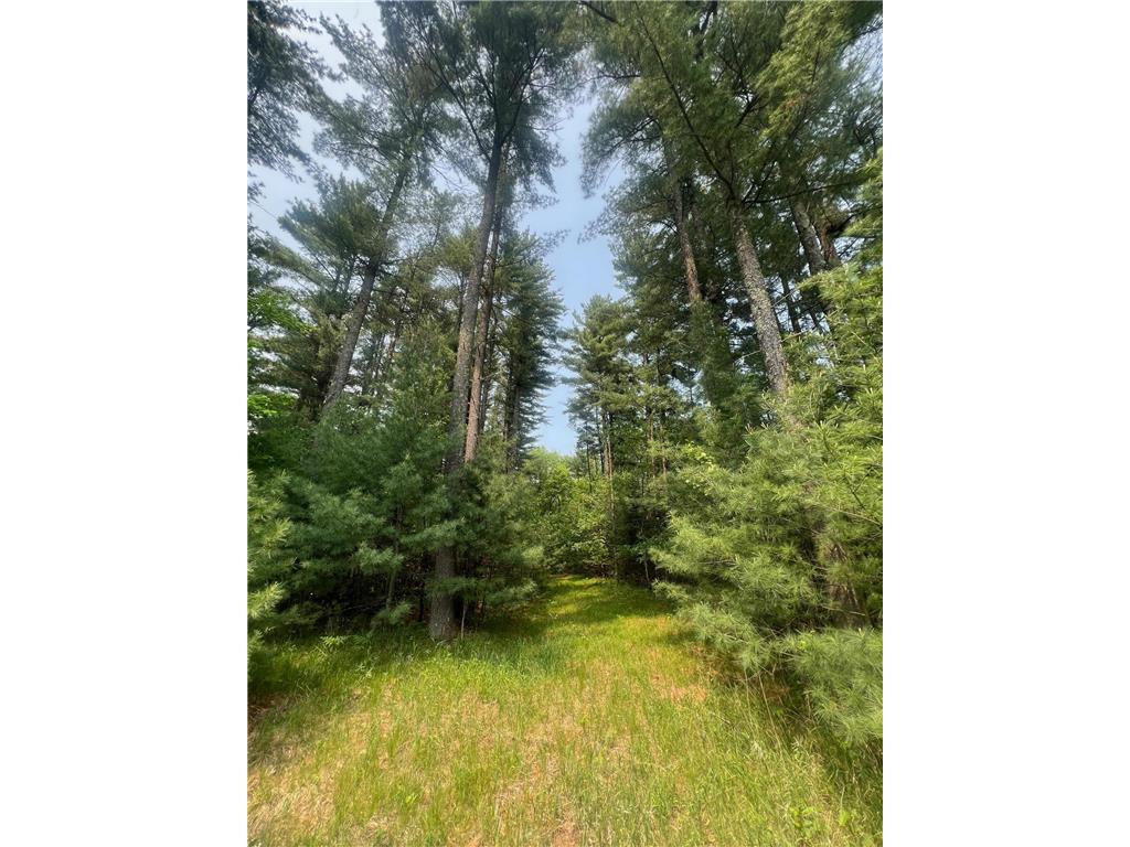 xxx Benson Avenue Grantsburg WI 54840 6730088 image1