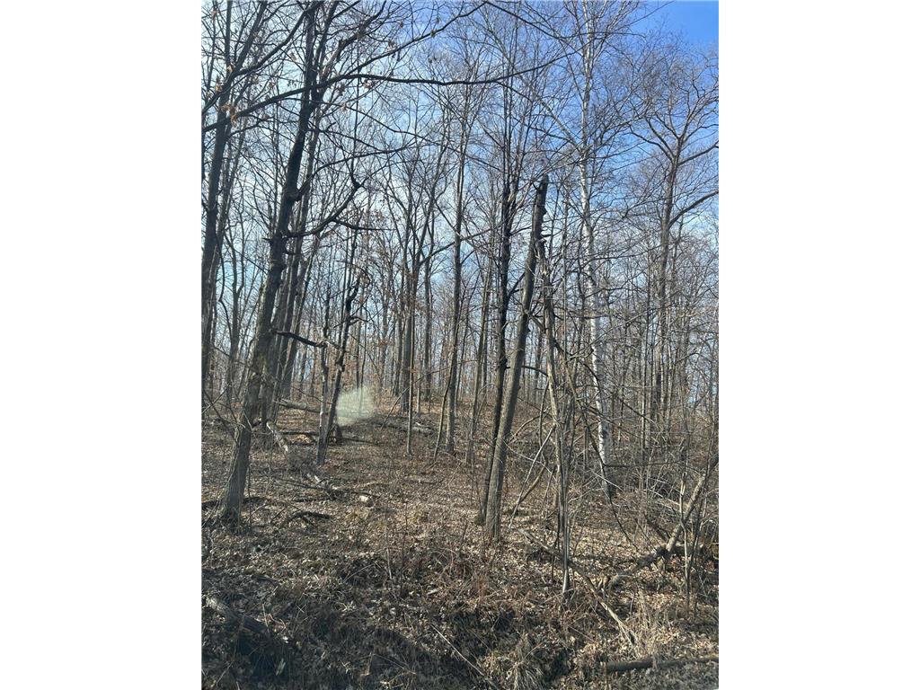 xxx Birchcurve Rd Cushing MN 56443 6503057 image1