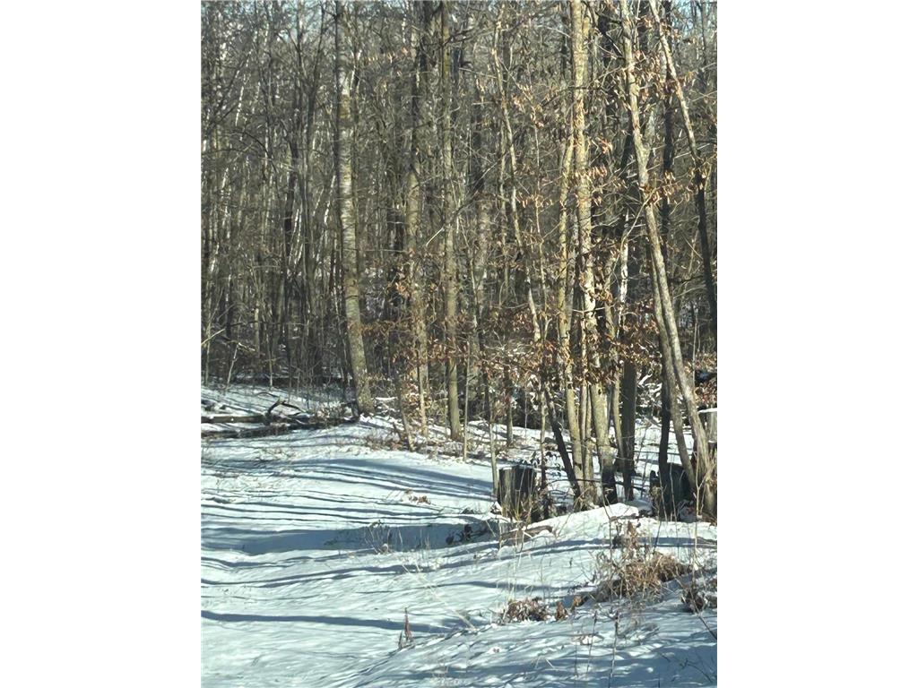 xxx Birchcurve Road Cushing Twp MN 56475 6679622 image1