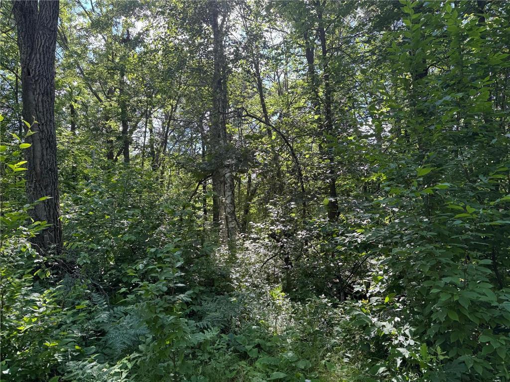 xxx Blue Ridge Drive Breezy Point MN 56472 6741431 image1