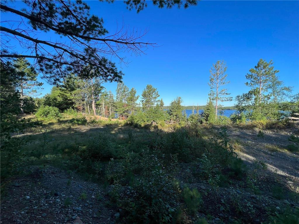 xxx Bradach Road, Ely, MN, 55731 MLS 6255726 Edina Realty