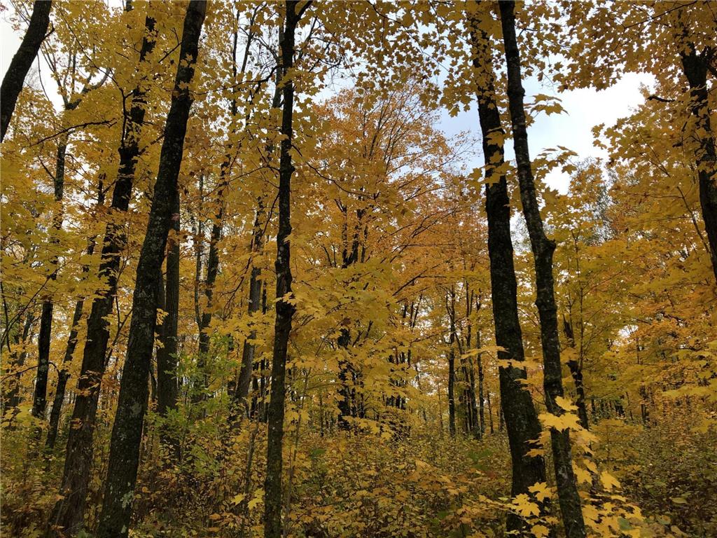 72xx Brown Road Automba Twp MN 55757 6480500 image1