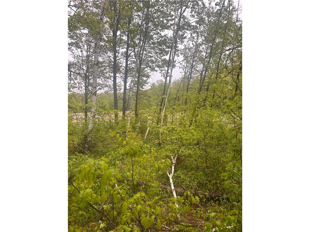 xxx Cardinal Trail Cushing Twp MN 56475 6679619 image1