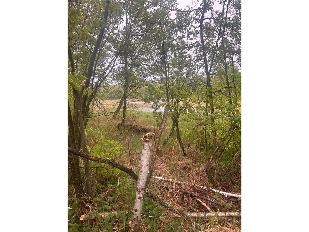 xxx Cardinal Trail Cushing Twp MN 56475 6679619 image2