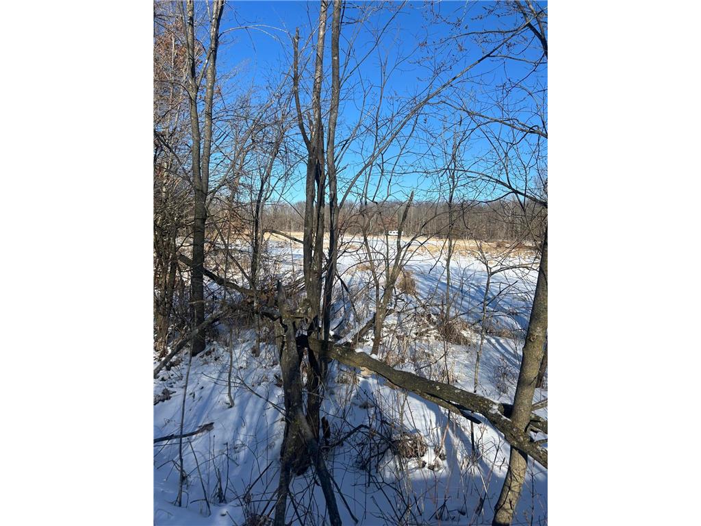 xxx Cardinal Trail Cushing Twp MN 56475 6679619 image3