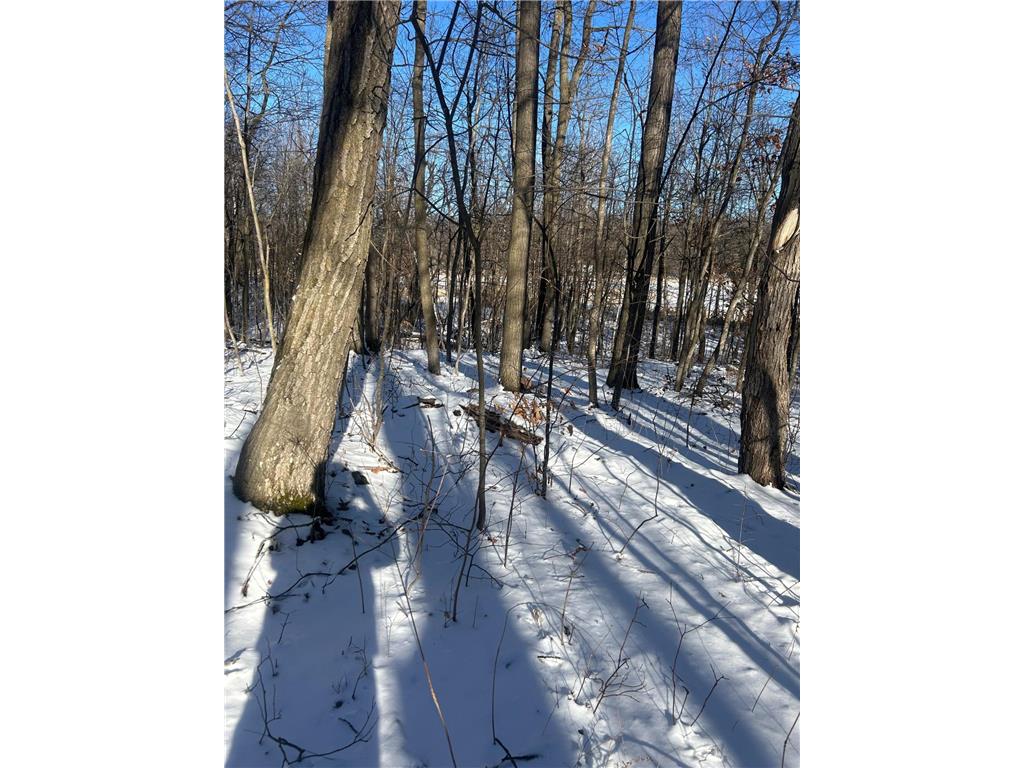 xxx Cardinal Trail Cushing Twp MN 56475 6679619 image4