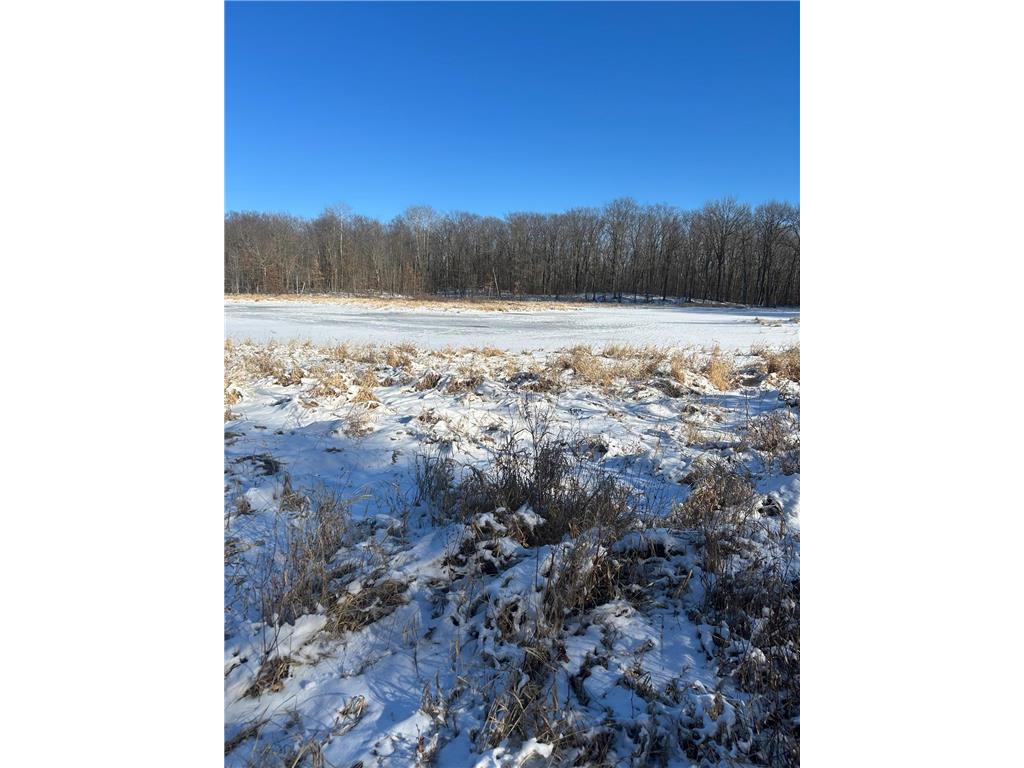 xxx Cardinal Trail Cushing Twp MN 56475 6679619 image6