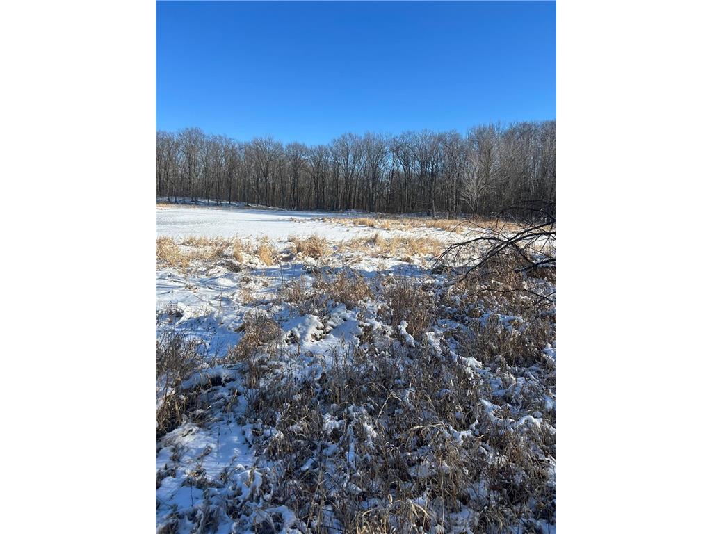 xxx Cardinal Trail Cushing Twp MN 56475 6679619 image7