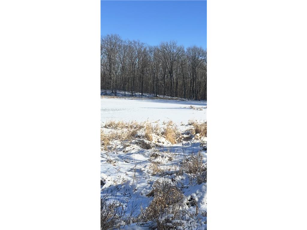 xxx Cardinal Trail Cushing Twp MN 56475 6679619 image8