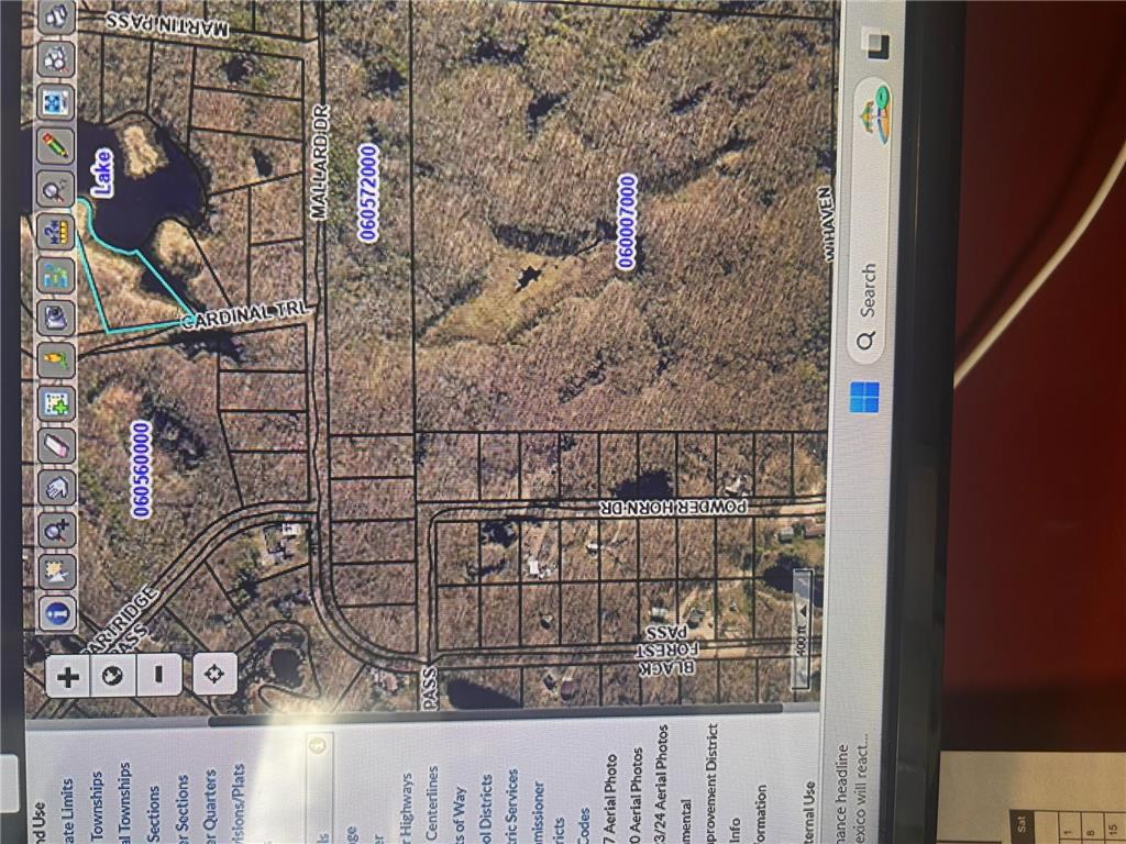 xxx Cardinal Trail Cushing Twp MN 56475 6679619 image9