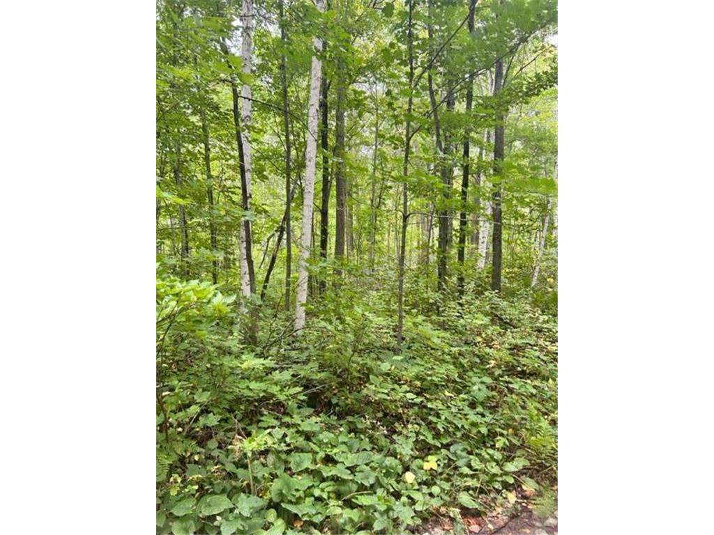 xxx Chipmunk Pass Cushing Twp MN 56443 6483391 image1