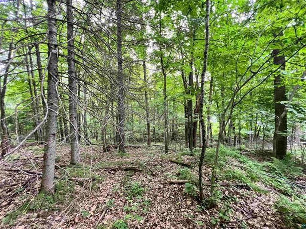 xxx Chippewa Tr Weirgor Twp WI 54867 - Chippewa River 6582555 image3