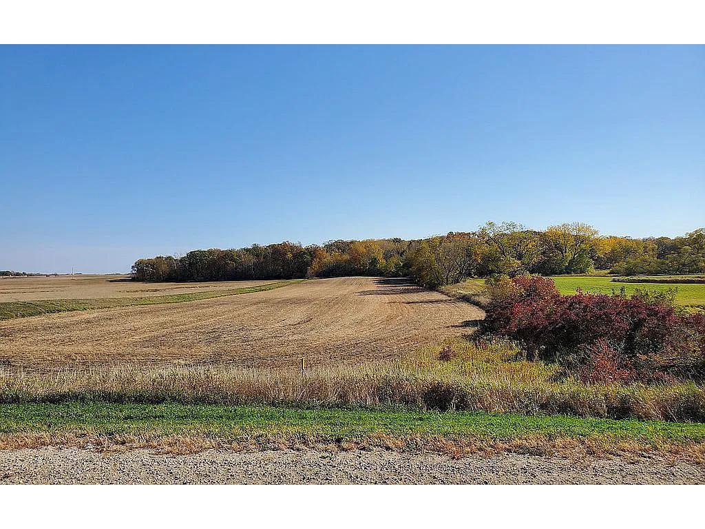 xxx Co Rd 12 NW Garfield MN 56332 6367421 image1