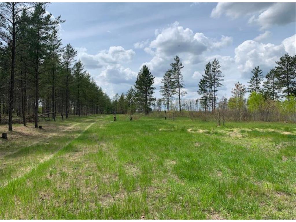 xxx Cottingham Drive Bullard Twp MN 56479 6337618 image1