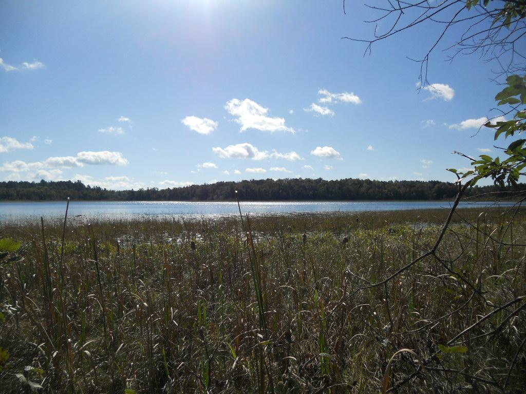xxx County 118 Road NW Backus MN 56435 - Little Hattie Lake 6606081 image1
