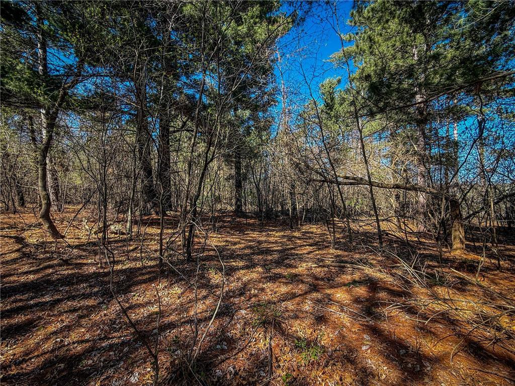 xxx County 14 Boulevard Cannon Falls MN 55009 6712344 image15