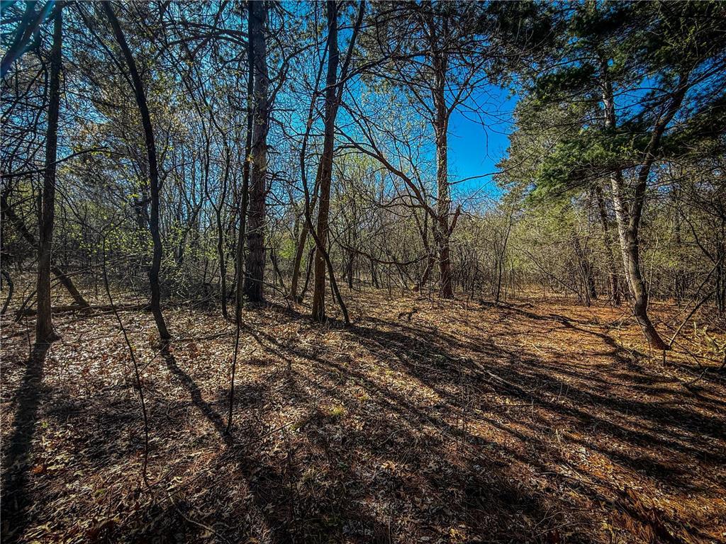 xxx County 14 Boulevard Cannon Falls MN 55009 6712344 image16