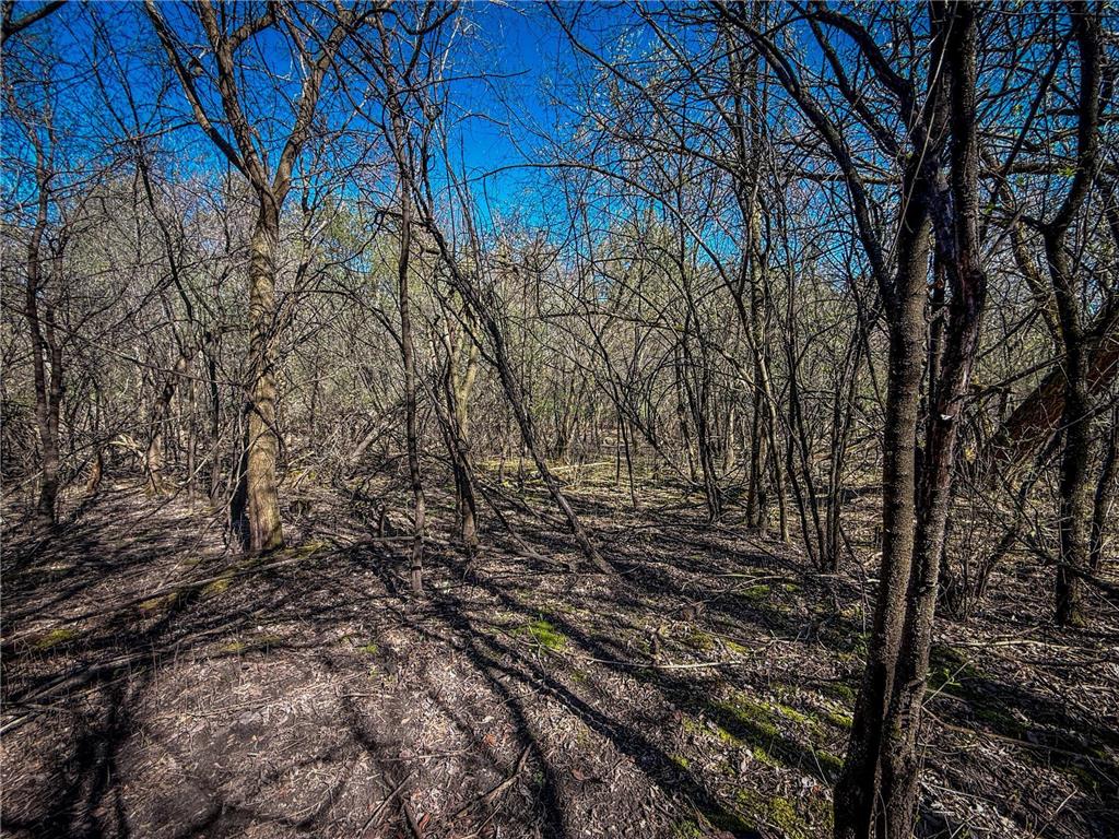 xxx County 14 Boulevard Cannon Falls MN 55009 6712344 image17