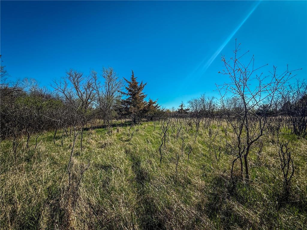 xxx County 14 Boulevard Cannon Falls MN 55009 6712344 image18