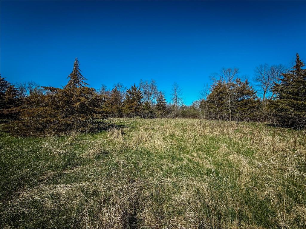 xxx County 14 Boulevard Cannon Falls MN 55009 6712344 image25