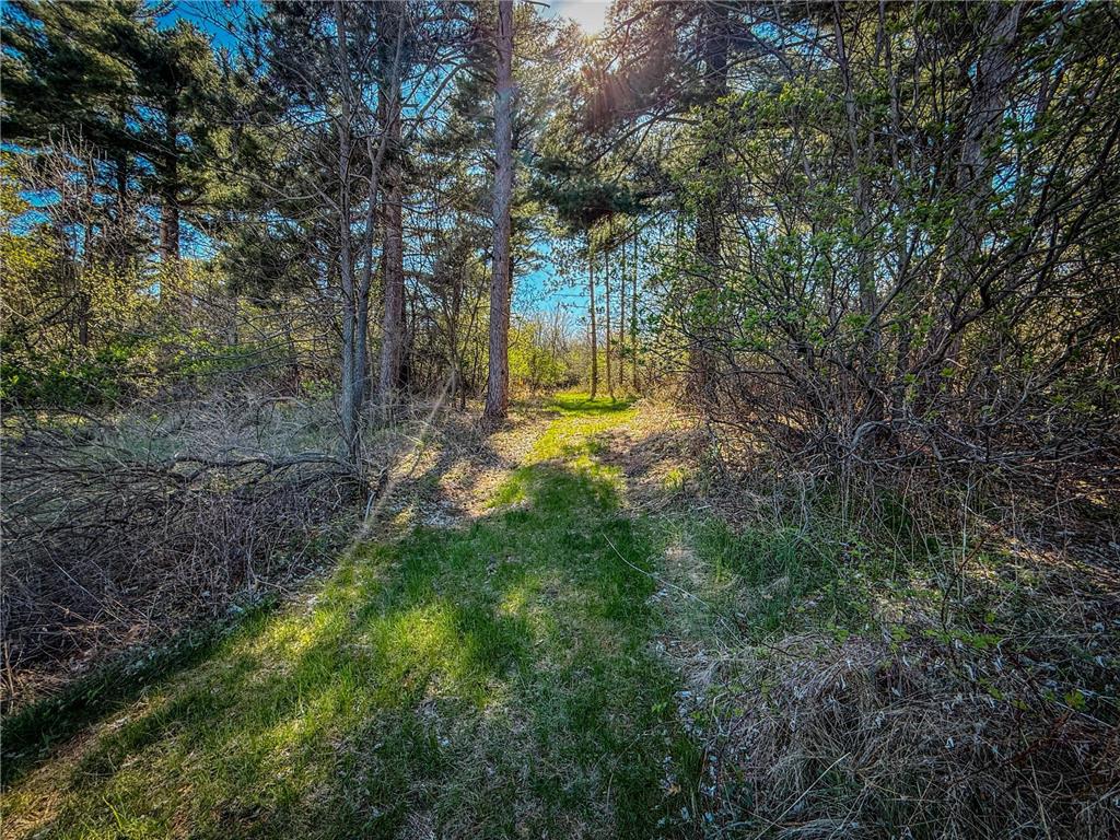 xxx County 14 Boulevard Cannon Falls MN 55009 6712344 image29