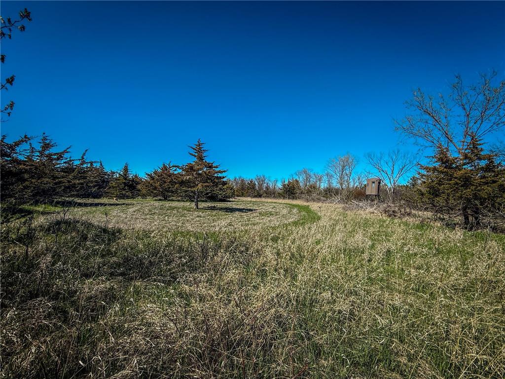 xxx County 14 Boulevard Cannon Falls MN 55009 6712403 image17