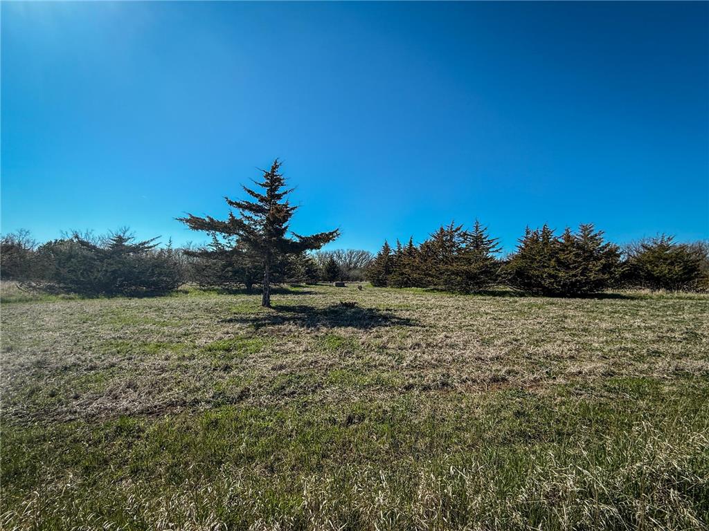 xxx County 14 Boulevard Cannon Falls MN 55009 6712403 image18