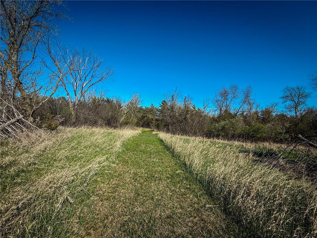 xxx County 14 Boulevard Cannon Falls MN 55009 6712403 image20