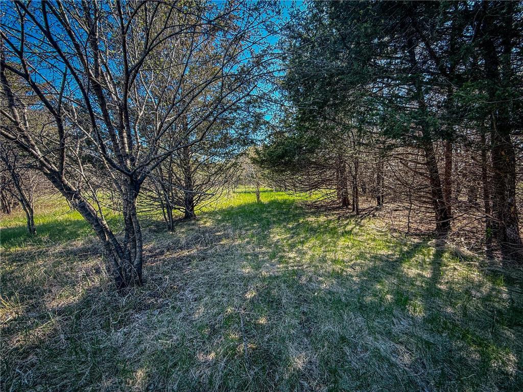 xxx County 14 Boulevard Cannon Falls MN 55009 6712403 image22