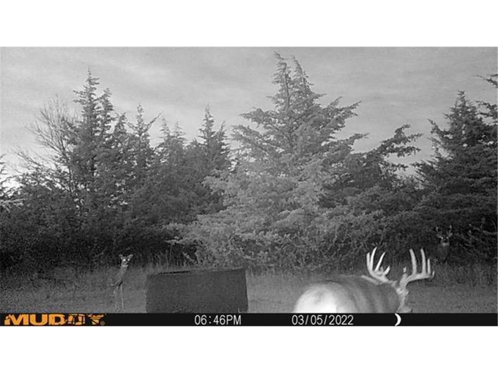 xxx County 14 Boulevard Cannon Falls MN 55009 6712403 image27