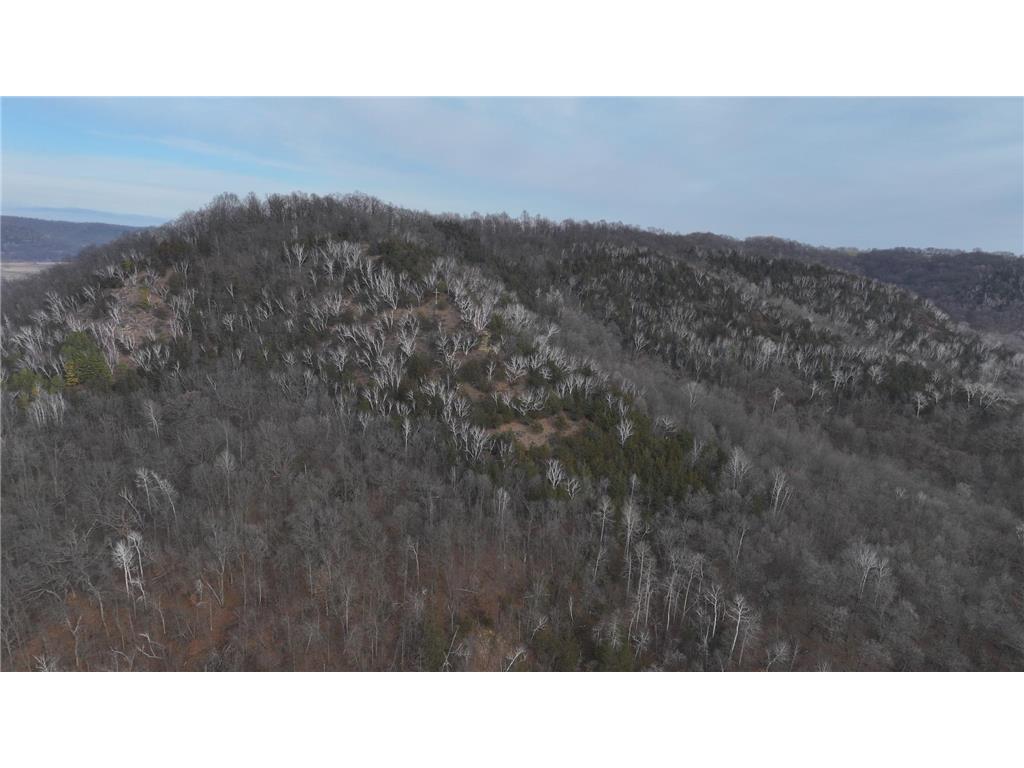 xxx County 7 Hokah MN 55941 6637393 image1