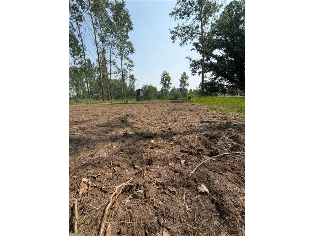 xxx County Rd 26 Verndale MN 56481 7111003 image10