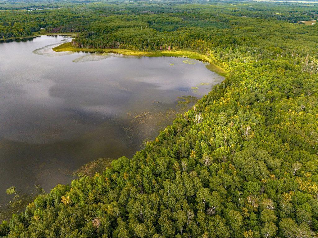 xxx County Rd 56 Nashwauk MN 55769 - Shoal Lake 6697436 image1