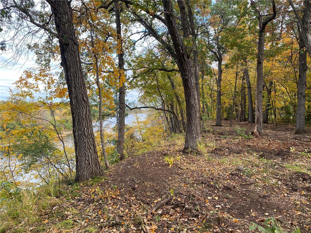 xxx County Road 1 Rice MN 56367 - Mississippi 6516491 image12