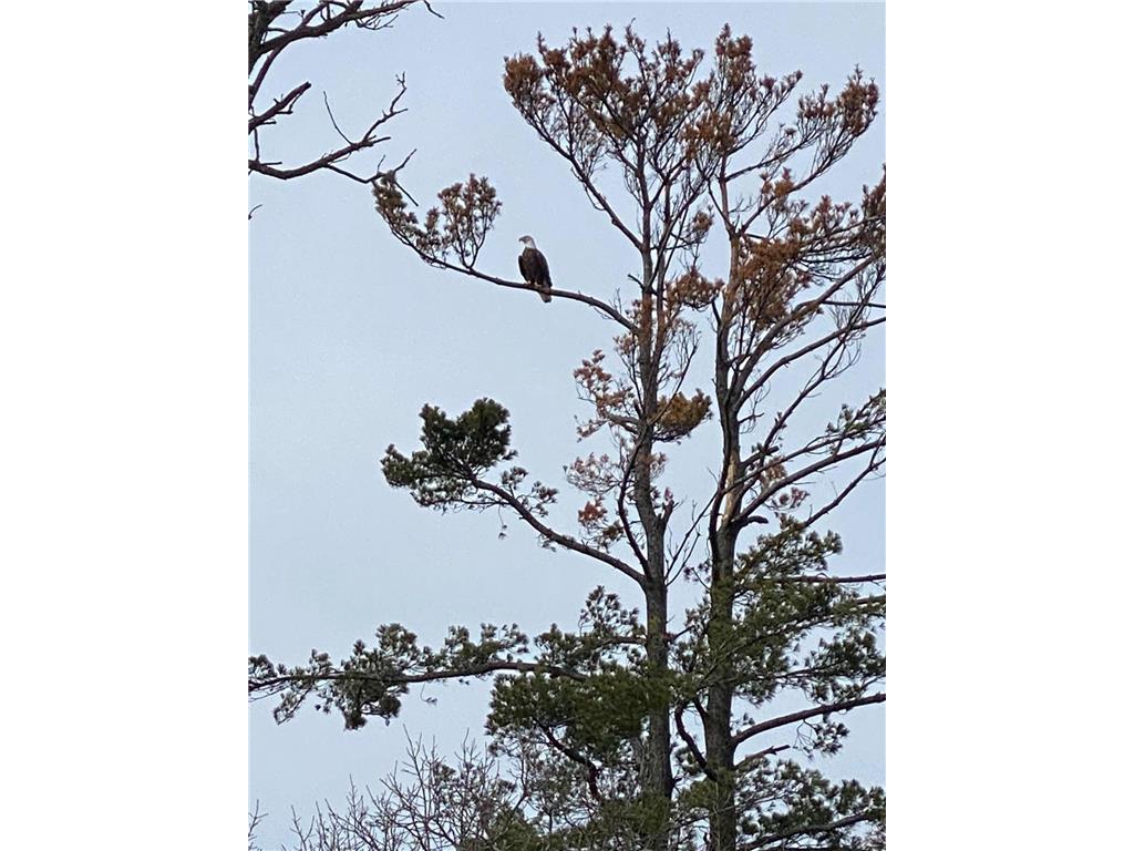 xxx County Road 1 Rice MN 56367 - Mississippi 6516491 image18