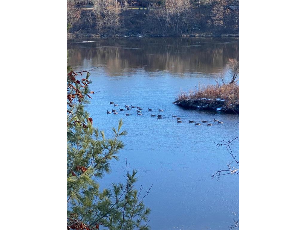 xxx County Road 1 Rice MN 56367 - Mississippi 6516491 image20