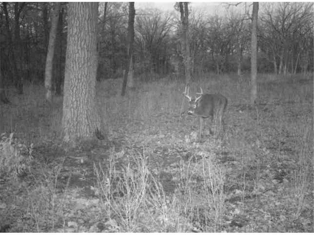 xxx County Road 1 Rice MN 56367 - Mississippi 6516491 image21