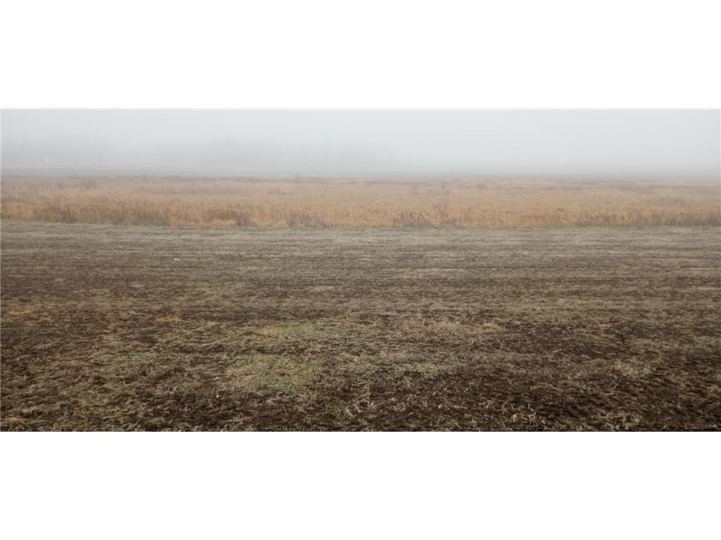 xxx County Road 10 Long Prairie MN 56347 6471255 image1