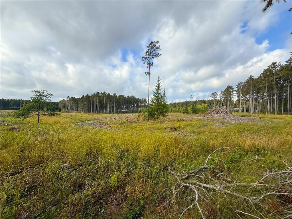 xxx County Road 119 Nevis MN 56467 6810805 image5